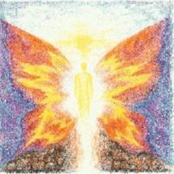 Diapason : Polycolor Butterfly